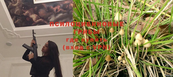 эйфоретик Ельня