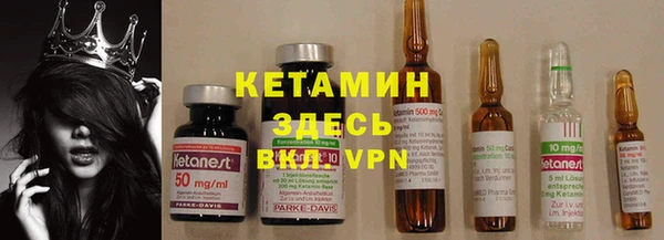 эйфоретик Ельня