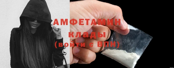 эйфоретик Ельня