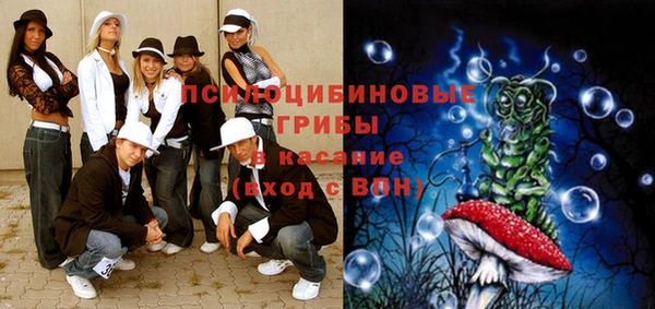 эйфоретик Ельня