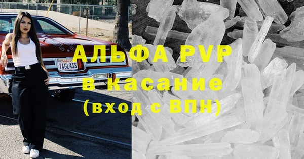 эйфоретик Ельня
