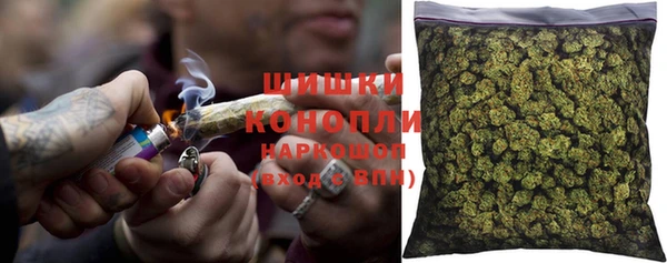 эйфоретик Ельня
