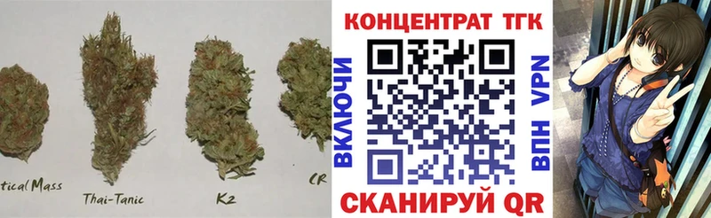 где найти наркотики  mega рабочий сайт  ТГК Wax  Камышлов 