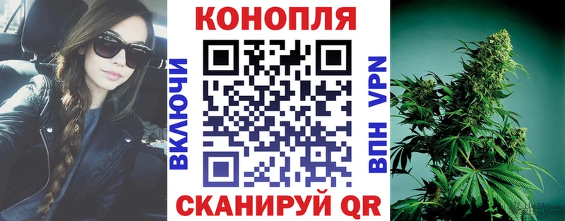 где можно купить   Камышлов  дарк нет наркотические препараты  Бошки марихуана гибрид 